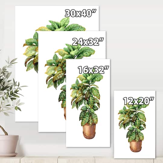 Designart - Croton In Clay Flowerpot